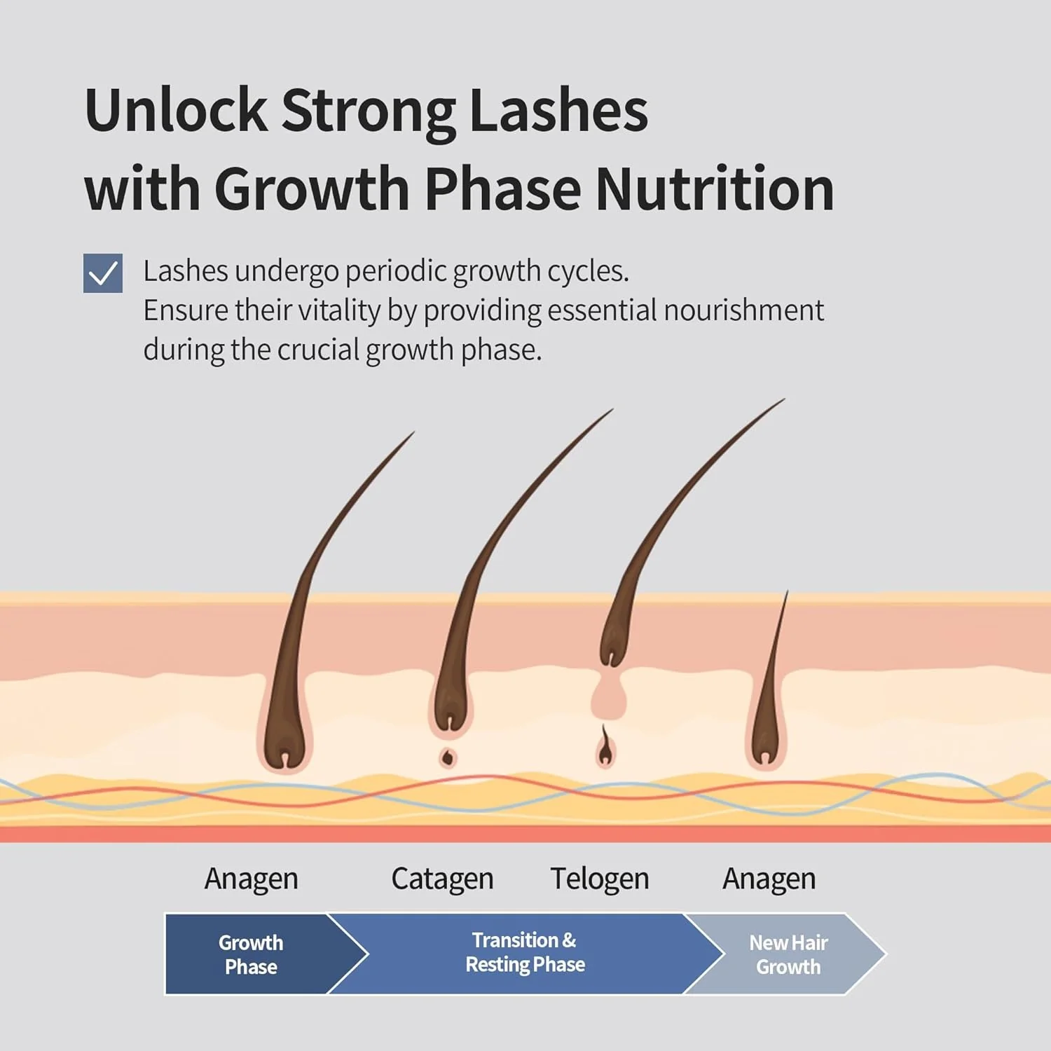 BENTON HONEST EYELASH SERUM - Image 4