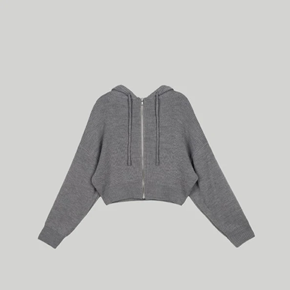 CLASSIC HOODIE ZIP-UP - Image 2